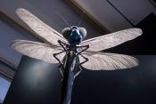 museum fur naturkunde berlin 5-2025 1255